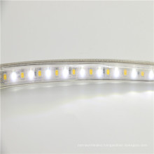 new product factory 220V smd 2835 8w per meter rgb+cct led strip light